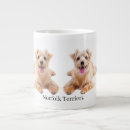 Recherche de terrier de norfolk tasses Dog