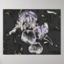 Suche nach metallisch poster Blume