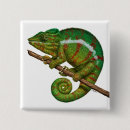Recherche de peinture numérique badges Vert