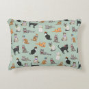 Recherche de chat minou coussins Chats