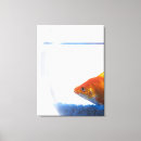 Suche nach goldfisch leinwandbilder Blau