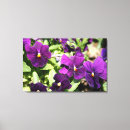 Recherche de pourpre un art Fleurs pourpres