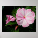 Recherche de white posters Landscape