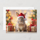 Suche nach kaninchen foto postkarten Winter