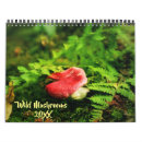 Recherche de champignon photographie Champignons sauvages