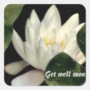 Recherche de fleur nénuphar autocollants Floral