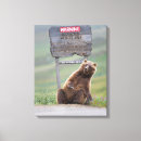 Suche nach grizzlybär leinwandbilder Alaska