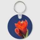 Recherche de amaryllis accessoires Bleu