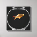 Suche nach goldfisch leinwandbilder Konzepte