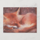 Recherche de renard cartes postales Rouge