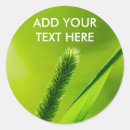 Recherche de herbe verte autocollants Printemps