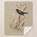 Suche nach stiere decken Aquarell