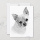 Suche nach realistische postkarten Hundefreund