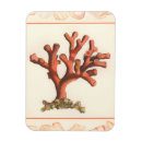 Suche nach korallen magnete Riff