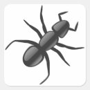 Recherche de fourmi autocollants Animal