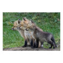 Recherche de triplets posters Bébés