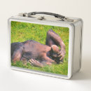 Suche nach tiere brotdosen Fotografie