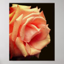 Suche nach abdruck kunst Blume