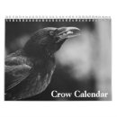 Suche nach krähe kalender Tiere