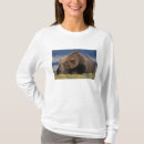 Recherche de ours brun tshirts Environnement
