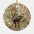 Suche nach creepy ornamente Spinnen