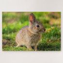 Suche nach rabbit puzzle Hase