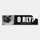 Suche nach lolcat Lolspeak