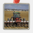 Recherche de plant ornements Culture