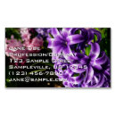 Recherche de pourpre et bleu photographie Floral