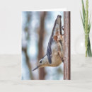 Suche nach breasted karten Natur