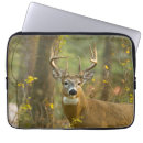 Recherche de whitetail électronique Buck