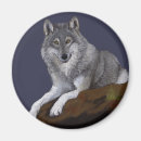 Recherche de bois gris magnets Animal