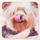 Suche nach niedlicher hund untersetzer Tiere