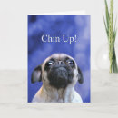 Suche nach pugs stuff karten Mops