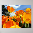 Suche nach heller frühling poster Fröhlich