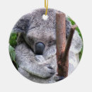 Suche nach koala ornamente Australisch