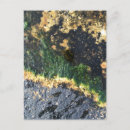Suche nach texture postkarten Für ihn