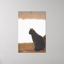Suche nach entspannt kunst Tier