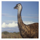 Suche nach western fliesen Natur