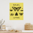 Suche nach motten poster Schmetterling