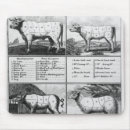 Recherche de boucherie tapis souris École