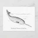 Recherche de narwhal cartes postales Mer
