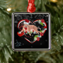 Suche nach tanne kugel ornamente Family