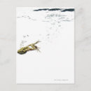 Recherche de grenouille de saut posters Mouvement