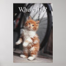 Suche nach ostasien poster Kätzchen
