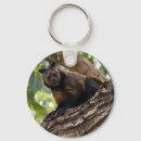 Suche nach affen schlüsselanhänger Zoo
