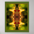 Recherche de insecte abstrait Floral