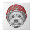 Suche nach yorkshire terrier fliesen Welpe