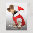 Recherche de de terrier noël cartes Mammifère