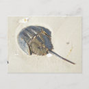 Recherche de mousepad cartes postales Timbre